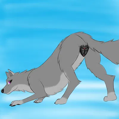 animal genitalia, animal vulva, ass up, black nose