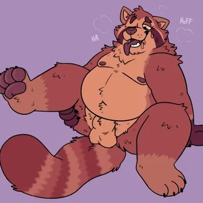 axel the red panda created by campfire donut