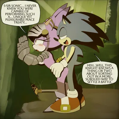 blaze the cat, sir percival (sonic and the black knight), sonic the hedgehog (sega, sonic and the black knight) created by jeanart