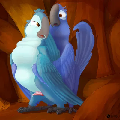 blu (rio), mimi (rio) (blue sky studios, rio (series)) created by lily r34