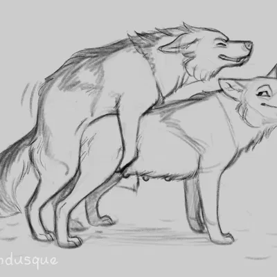 created by folvondusque