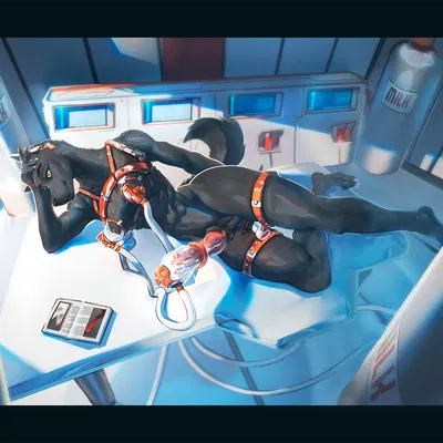 created by jack mulroney