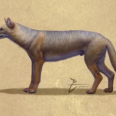 created by juandertal