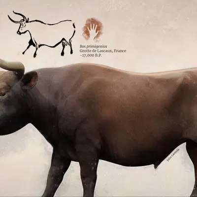 created by julio lacerda