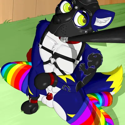 created by midnight meowth