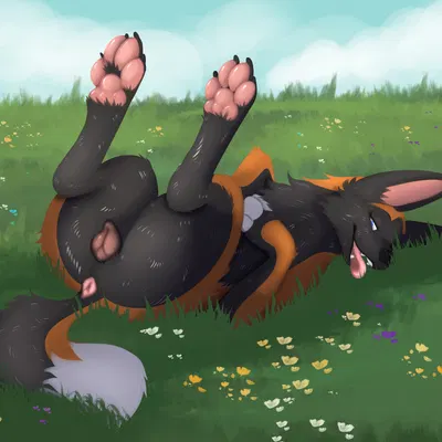 created by nauticalcanine