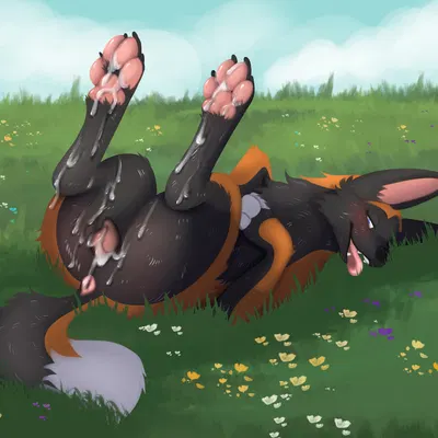 created by nauticalcanine