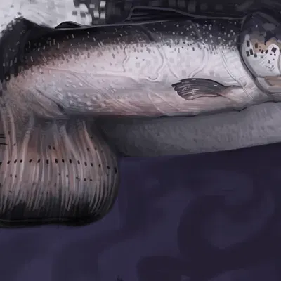 created by obrien (artist)