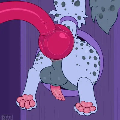 created by pocketpaws