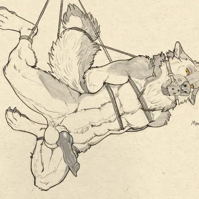 created by richard foley