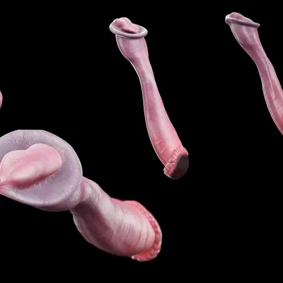 created by xmurowelx