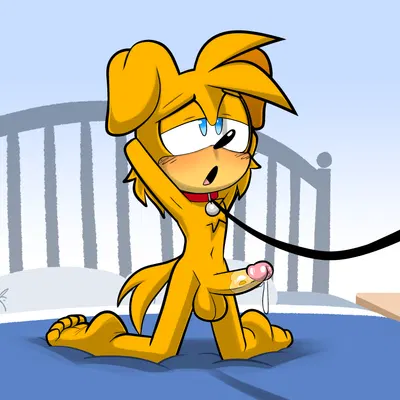 fan character (sega, sonic the hedgehog (series)) created by lettuce (artist)