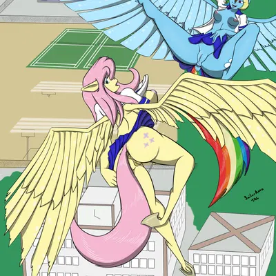 fluttershy (mlp), rainbow dash (mlp) (friendship is magic, hasbro) created by sailoranna