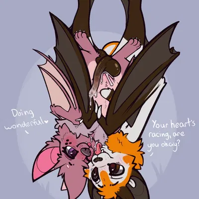 fruit slice (yurusa), jack desmodus created by yurusa