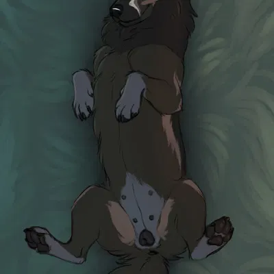 hiona created by folvondusque