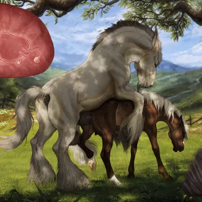 hulett (akerin), nammi (skuggamul) created by scarlanya