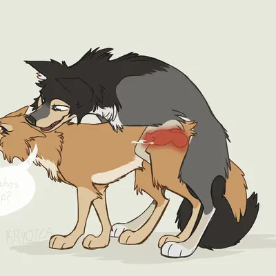 humphrey (alpha and omega), kate (alpha and omega) (alpha and omega) created by kryotea