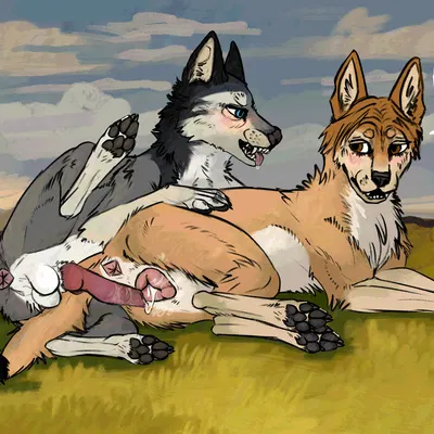 humphrey (alpha and omega), kate (alpha and omega) (alpha and omega) created by kutsiihvost