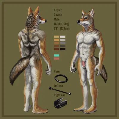 kepler coyote created by momamo