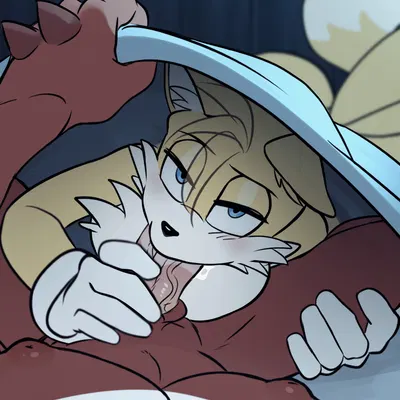 knuckles the echidna, miles prower (sega, sonic the hedgehog (series)) created by toodamncycle