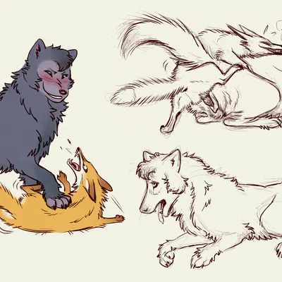 koda (werevold) created by jacqal