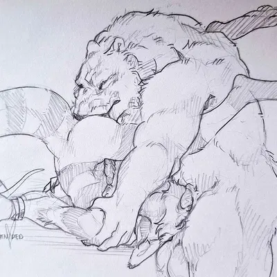 kuruk (character), nivalis created by catniped