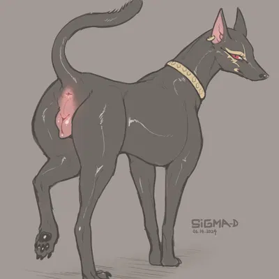 laila (sigma-d) created by sigma-d