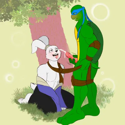 leonardo (tmnt), miyamoto usagi (teenage mutant ninja turtles, usagi yojimbo) created by mishajeans