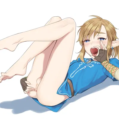 link (breath of the wild, nintendo) created by broccoholic