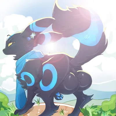 midnight (novaace) (nintendo, pokemon)