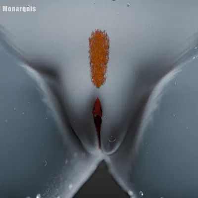 momo (monarquis) created by monarquis