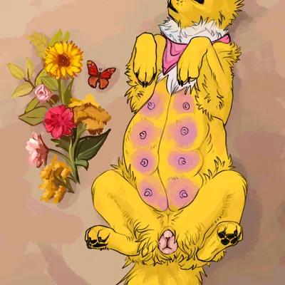 nintendo, pokemon created by kutsiihvost