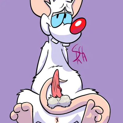 pinky (warner brothers) (pinky and the brain, warner brothers) created by srirachamander