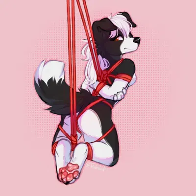 ren collie created by trisdraws