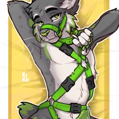 req lynx created by fenneckiro