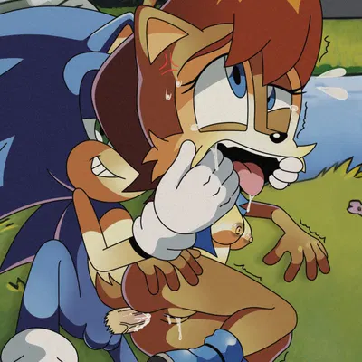 sally acorn, sonic the hedgehog (archie comics, sega) created by theradger457