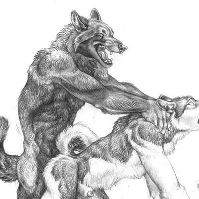 scratches volume 2 created by blotch