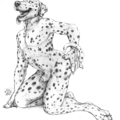 scratches volume 6 created by blotch