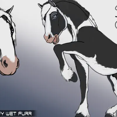 silv (wolfywetfurr) created by wolfywetfurr (artist)