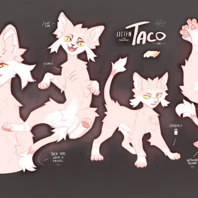 taco (fewiesh) (nintendo, pokemon) created by fewiesh