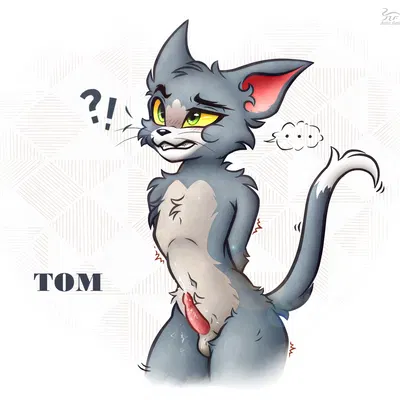 thomas cat (metro-goldwyn-mayer, tom and jerry) created by nightfury2020
