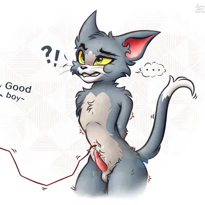 thomas cat (metro-goldwyn-mayer, tom and jerry) created by nightfury2020