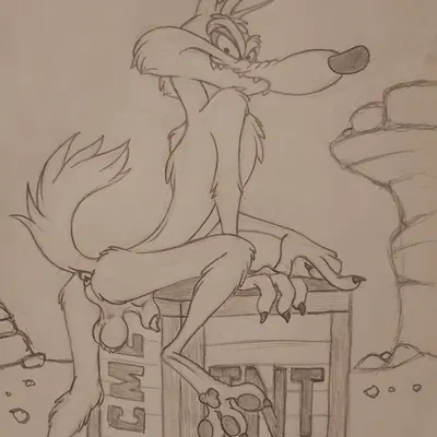 wile e. coyote (acme, acme products) created by lufeed