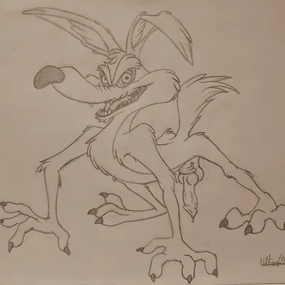 wile e. coyote (looney tunes, warner brothers) created by lufeed