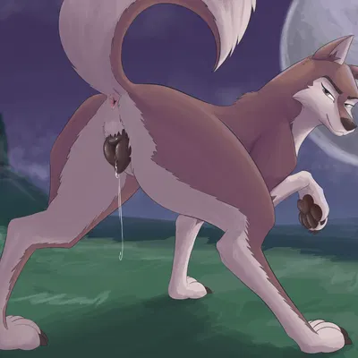 aleu (balto) (balto (series), universal studios) created by reminic