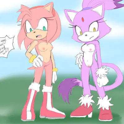 amy rose, blaze the cat (sega, sonic the hedgehog (series)) created by angelofhapiness