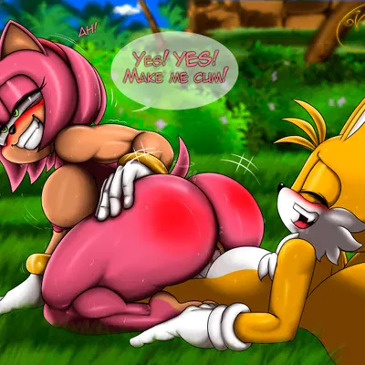amy rose, miles prower (sega, sonic the hedgehog (series)) created by foxium