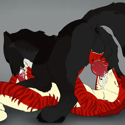 angel (velvetvlade), echo (wolffylegend) created by killthe demon