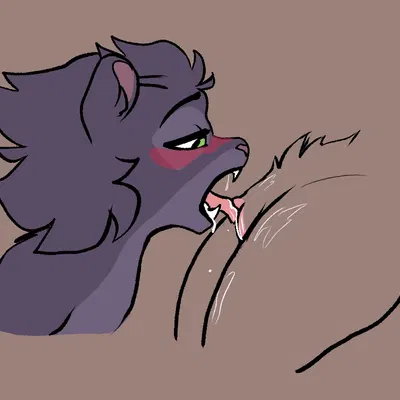 anon, anthro anon, clairen (rivals of aether) (rivals of aether) created by carameltsi