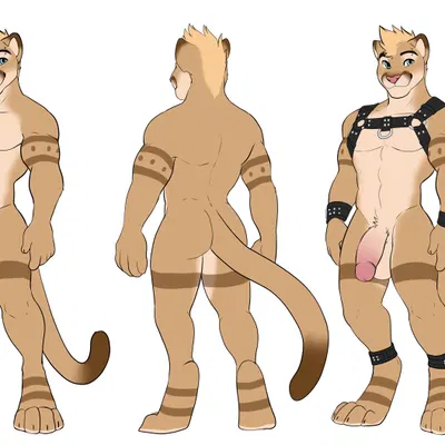 apollo the cougar created by seibear